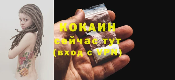 mdpv Богородск