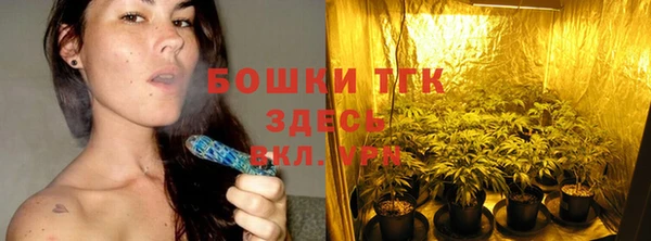 mdpv Богородск